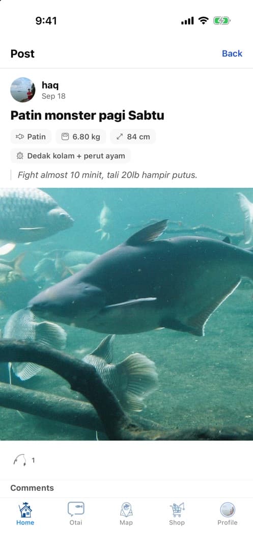 A logged catch: a 6.8 kg patin caught on dedak kolam and perut ayam
